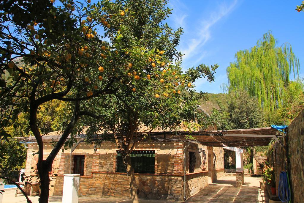 La Fuente De El Nacimiento Benamahoma Exterior foto